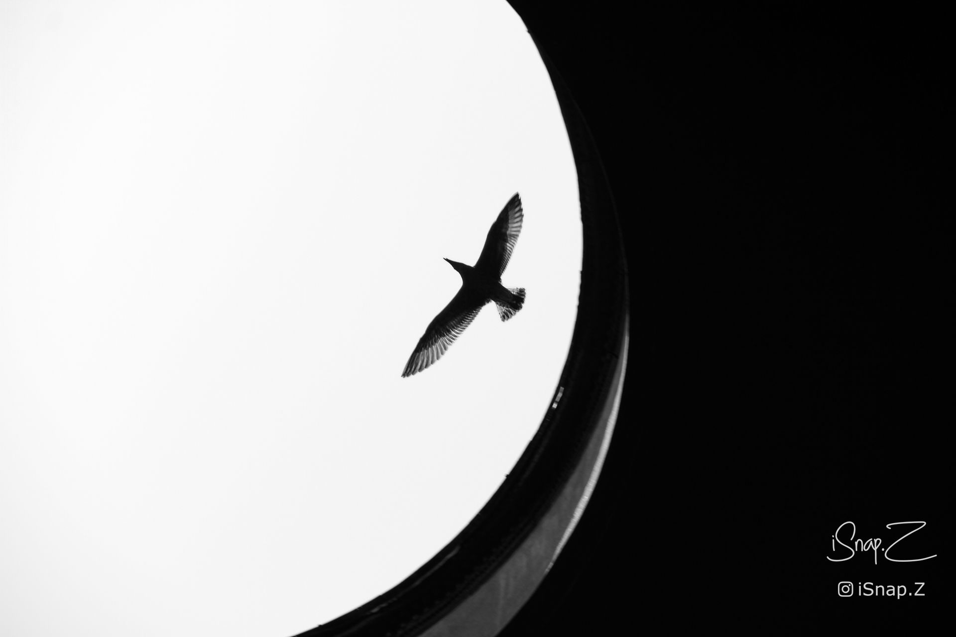 Inside view of a Bird in Pantheon, Rome, Italy