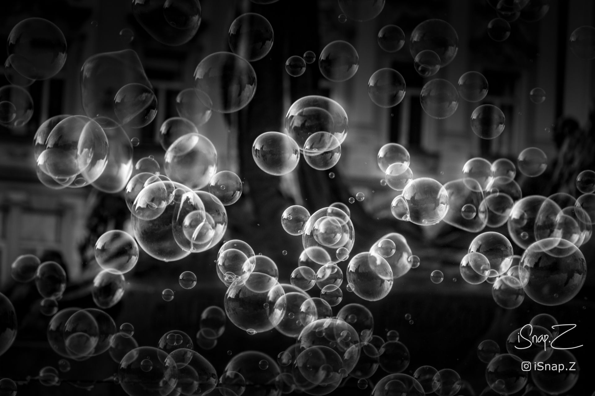 Soap Bubbles in Street