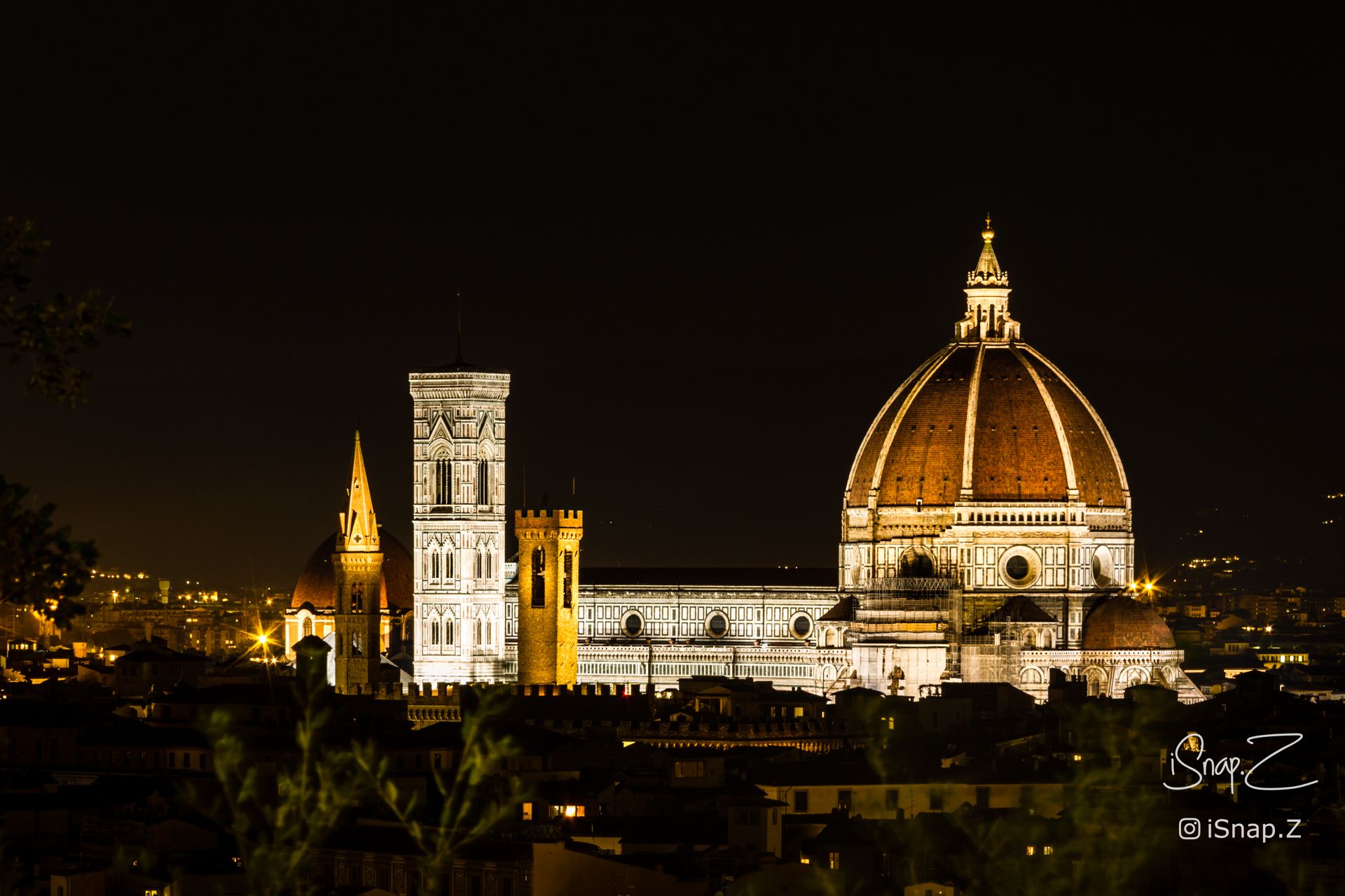 University of Florence at Night